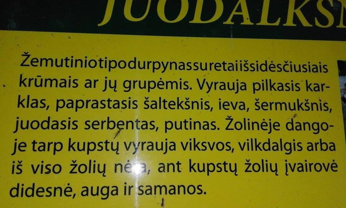 Išmokite: gerai mokėti gimtąją kalbą – kiekvieno lietuvio pareiga.