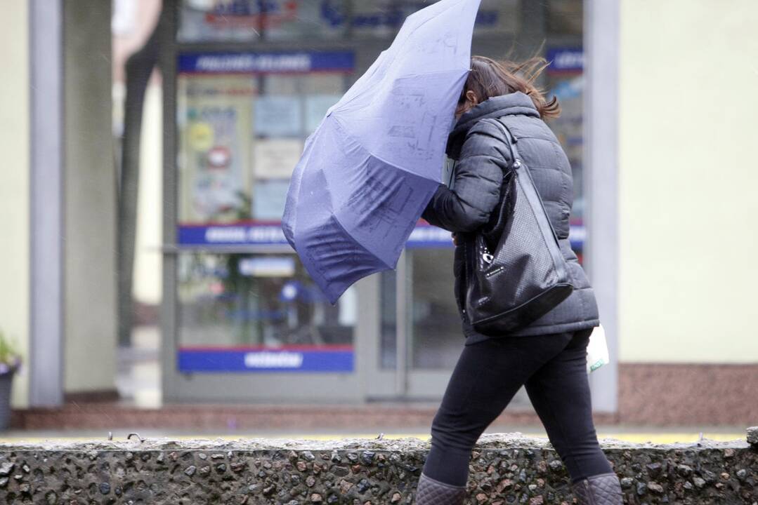 Kurį laiką pavasarį pranašavę orai trauksis, stiprės vėjas, pasirodys lietus ir sniegas.