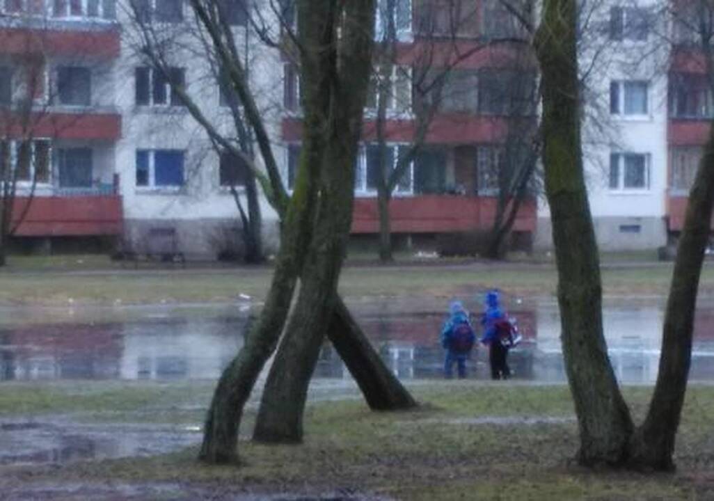 Nors sparčiai tirpsta vandens telkinius aptraukęs ledas, tačiau vaikams vis tiek knieti jį išbandyti.