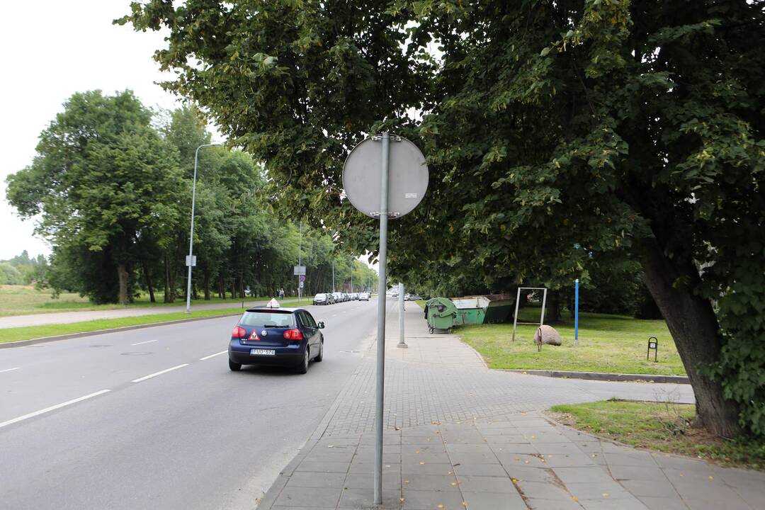 Kauno gatvėje esantis sustoti ir stovėti draudžiantis ženklas visiškai nesimato per medžio šakas. Kita jo pusė problemų nekelia.