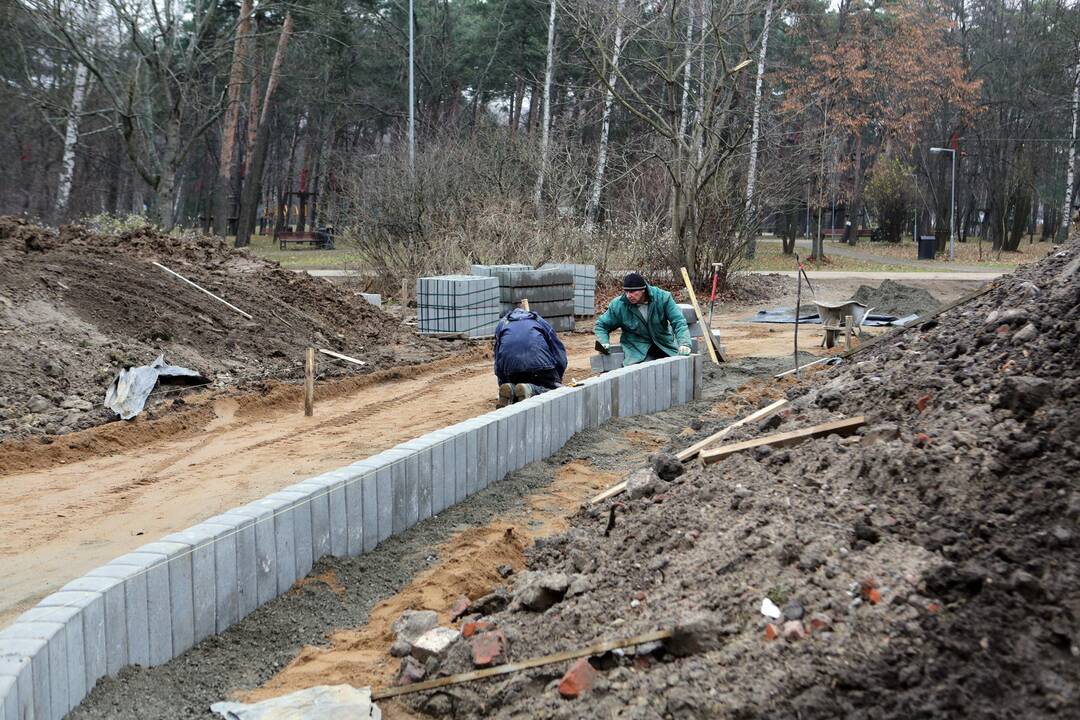 Procesas: Poilsio parko atnaujinimas vyksta be didesnių trukdžių.