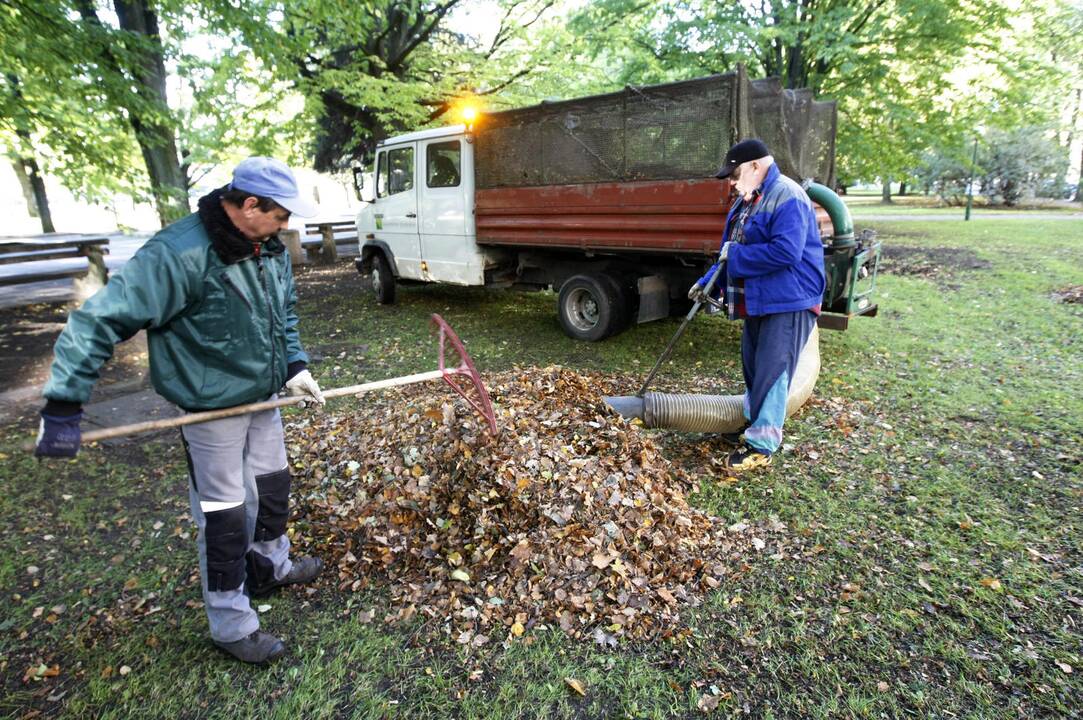 Darbas: ilgalaikiams bedarbiams bus siūloma valyti miesto viešąsias erdves ar kiemus.