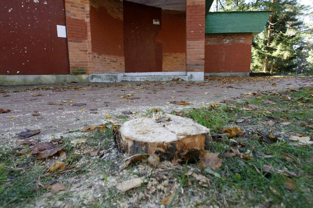 Atkaklumas: ir toliau neatsisakoma minčių netoli jūros, pačiame Palangos centre, valstybinės žemės sąskaita aplink apleistą prekybos paviljoną projektuoti itin didelės vertės keliolikos arų sklypą.