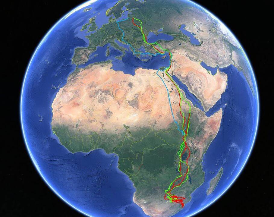 Galima rasti trijų erelių su GPS siųstuvais keliones po Afrikos žemyną ir Europą. Mėlyna spalva pažymėta jauniklio Nemuno, raudona – patelės Metidos, žalia – patino Kauno skrydžio trajektorija.