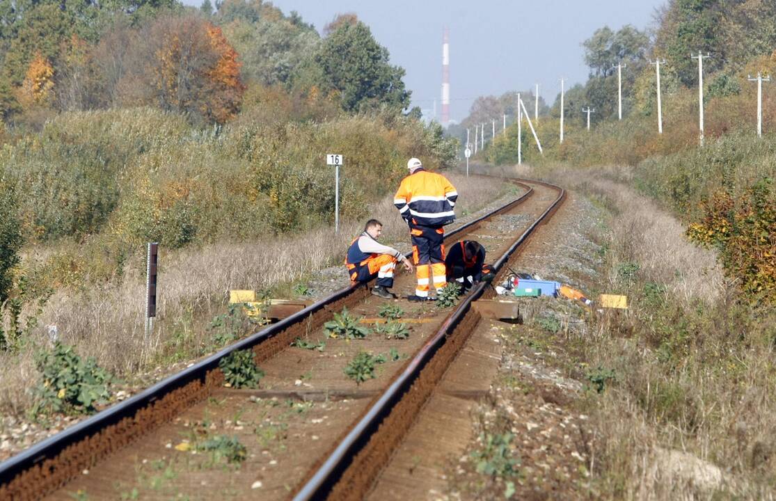 Stotelė: maršrutu Klaipėda–Šilutė traukiniai zuja nuo spalio 1-osios, tačiau dituviškiai pro sodų bendriją pravažiuojančiu traukiniu pasinaudoti negali, nėra stotelei tinkamo perono.