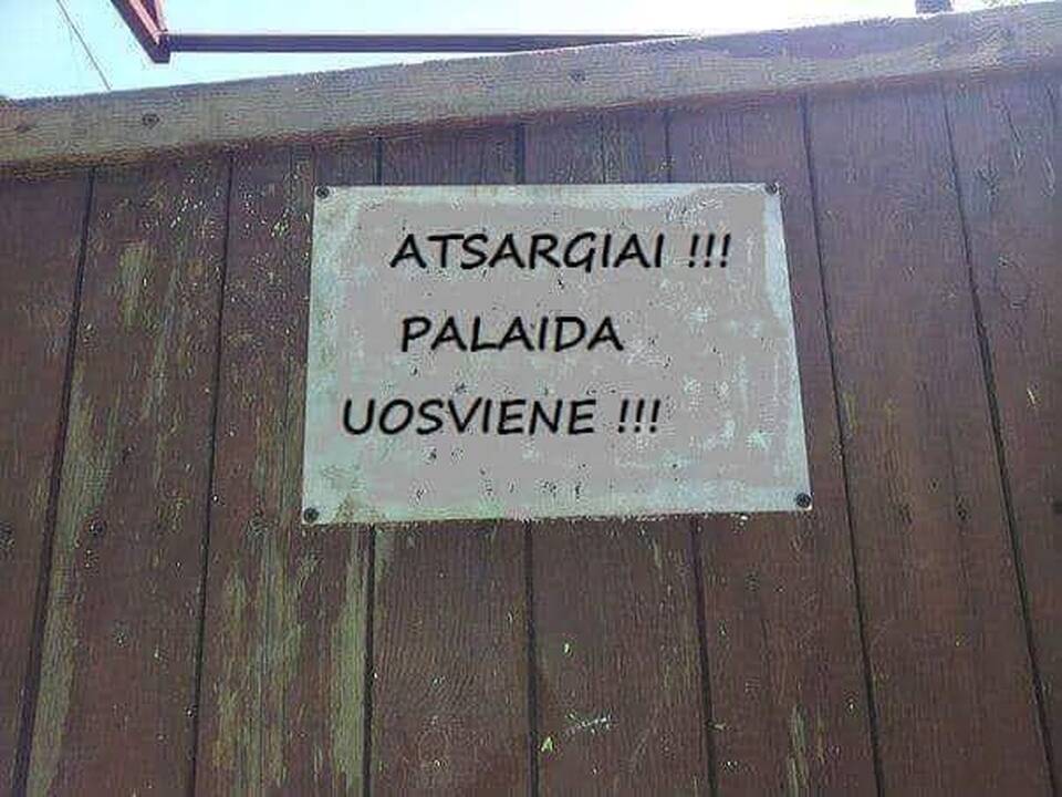 Versija: tikriausiai šį tekstą užrašė šmaikštus žentas.