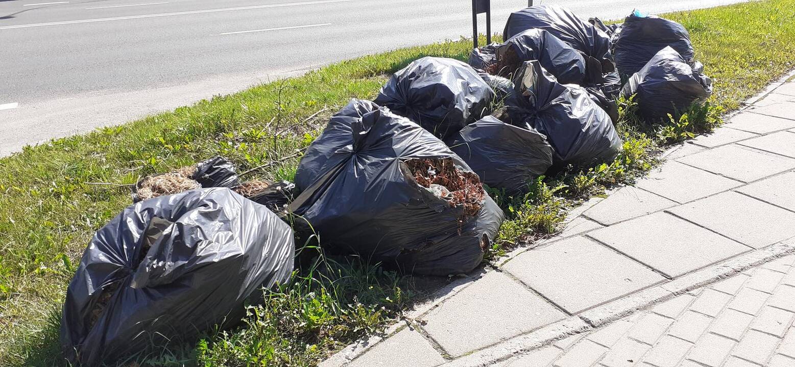 Tikimybė: juodi maišai tikriausiai sulauks žiemos, o kai bus apsnigti – nesimatys.