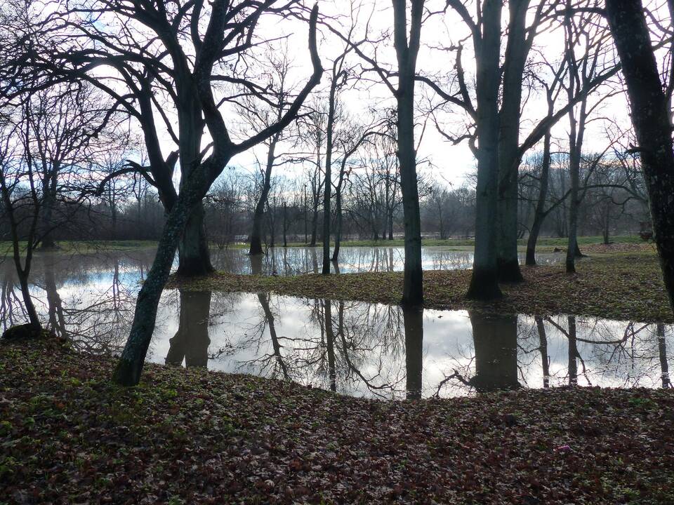 Minija ties Priekule pasiekė kritinę ribą.