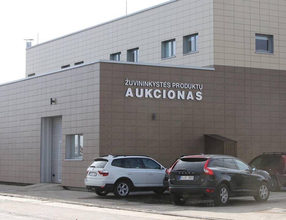 Situacija: aukcione atidaryta moderni žuvų apdorojimo linija, bet pirkti žuvims iš žvejų trūksta pinigų.