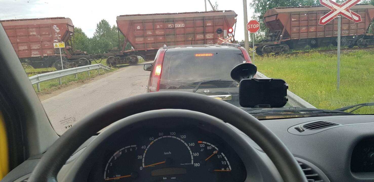 Krova: į laivus jau byra naujo derliaus grūdai.
