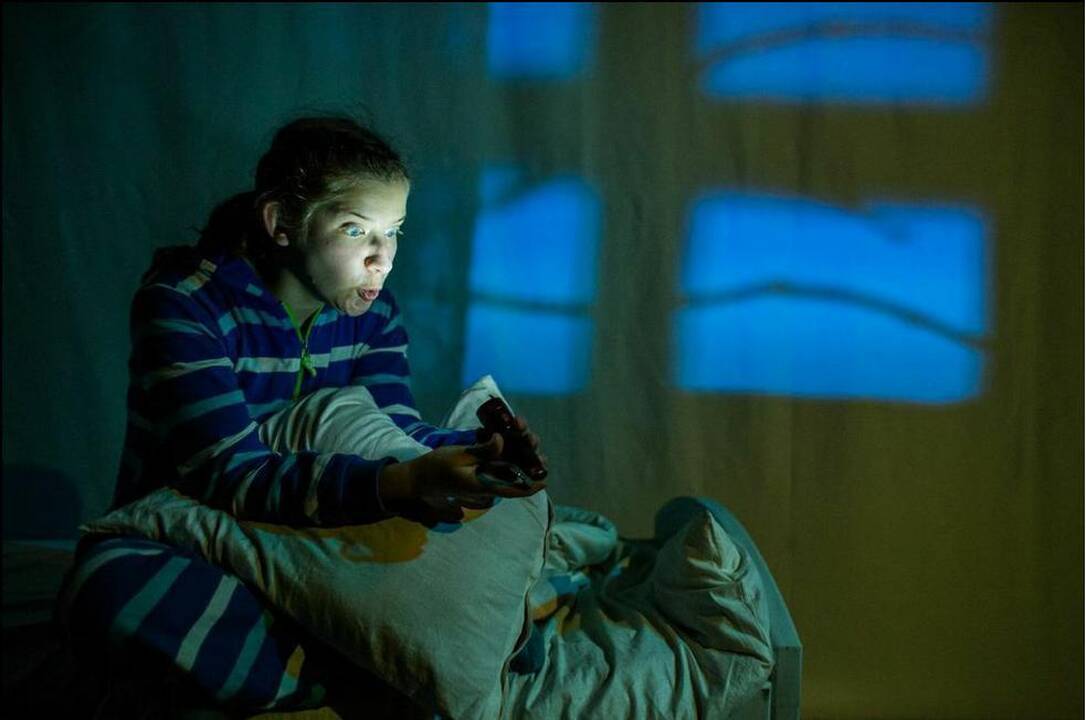 Teatrų festivalyje – „Paslaptinga naktis“ vaikams