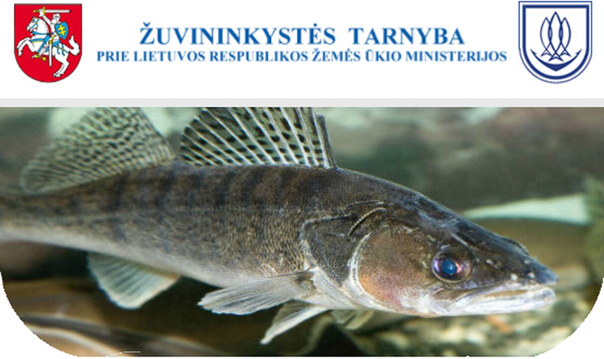 Paskelbtas Žuvininkystės tarnybos vadovo konkursas