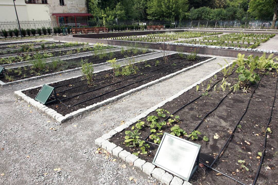 Žvilgsnis į netrukus atsidarysiantį Bernardinų sodą