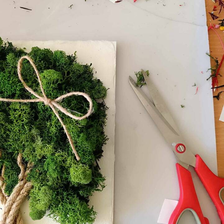 Tikslas: V. Tulevičiūtė nori savo floristinėmis kompozicijomis į kiekvienus namus atnešti dalelytę gamtos, kuri padėtų nusiraminti, susikaupti.