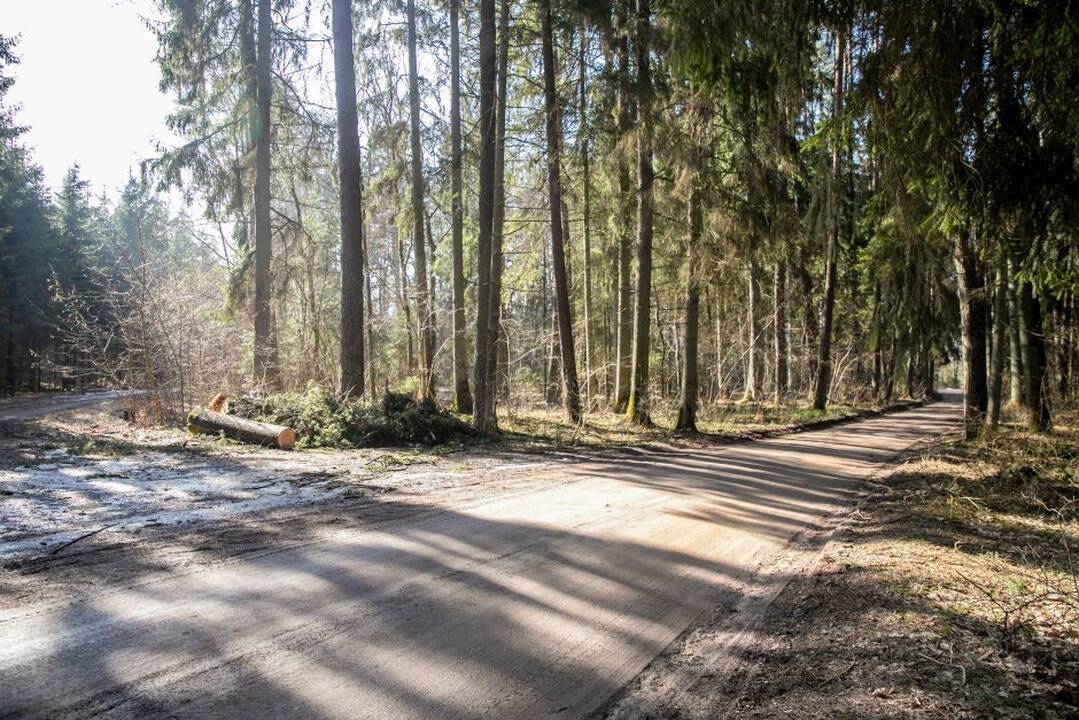 Karjerų kasimas Pakarklės miške: bendruomenė žada kovoti toliau