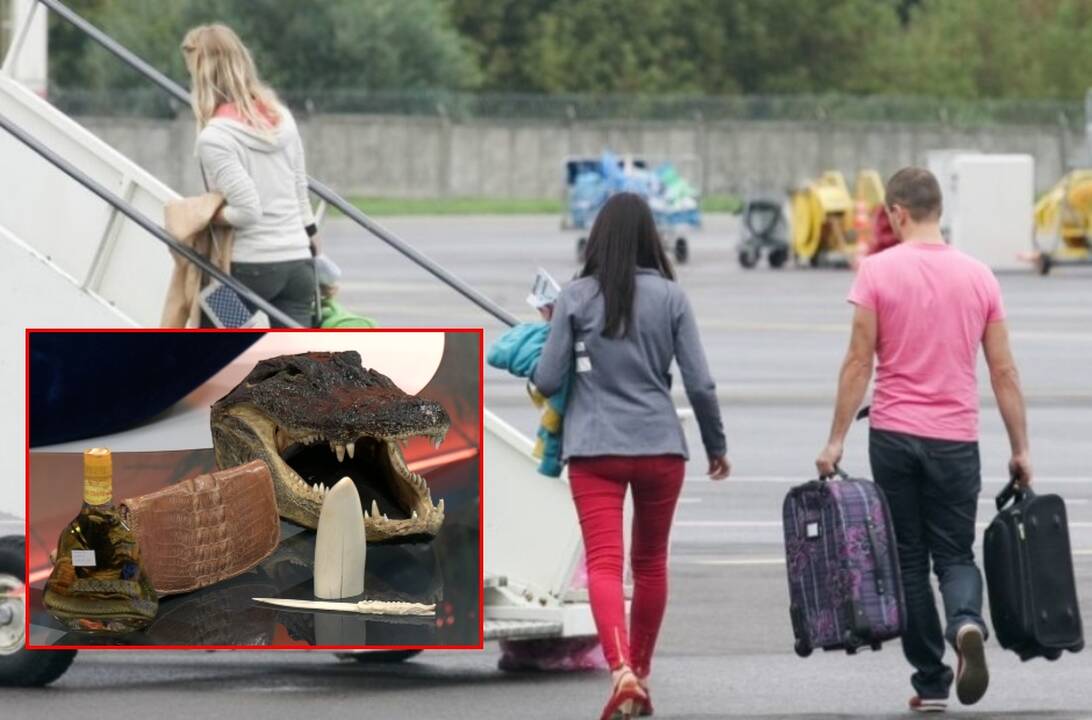 Šią informaciją privalo žinoti kiekvienas keliautojas: galite užsitraukti ir 6 tūkst. baudą