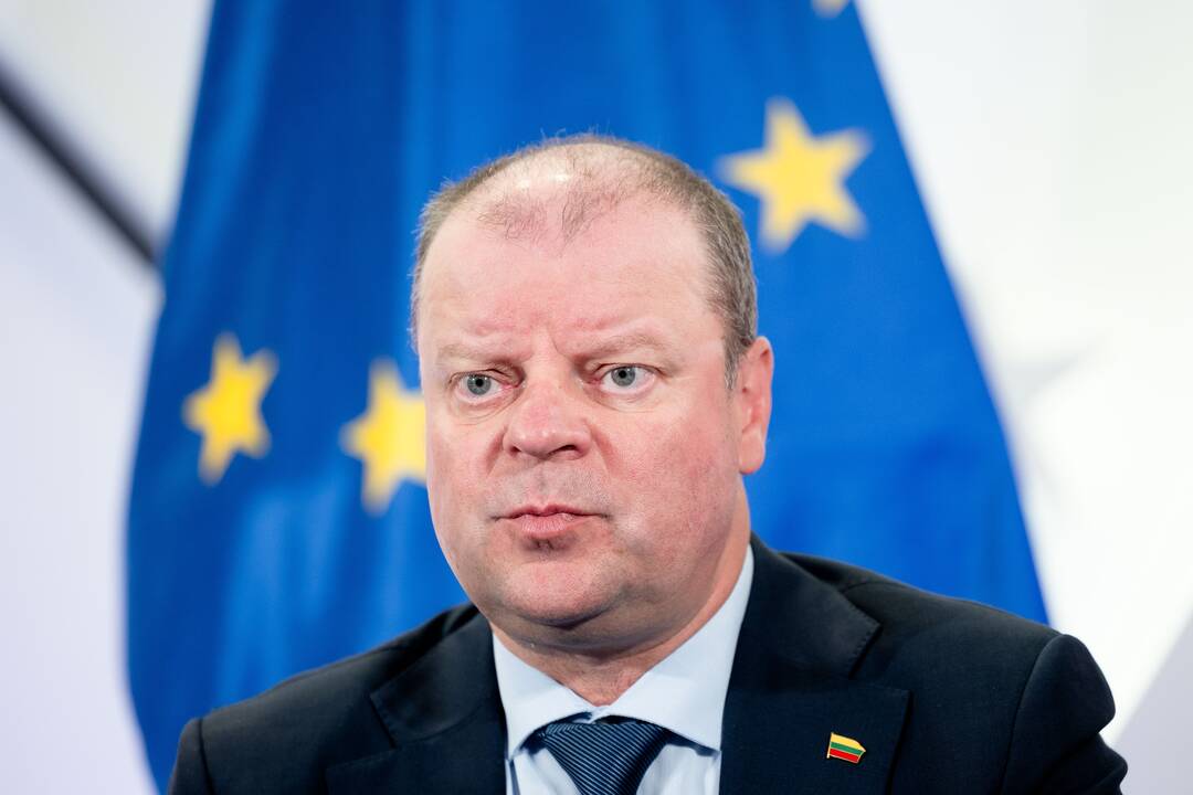 S. Skvernelis ir V. Sinkevičius po EP rinkimų