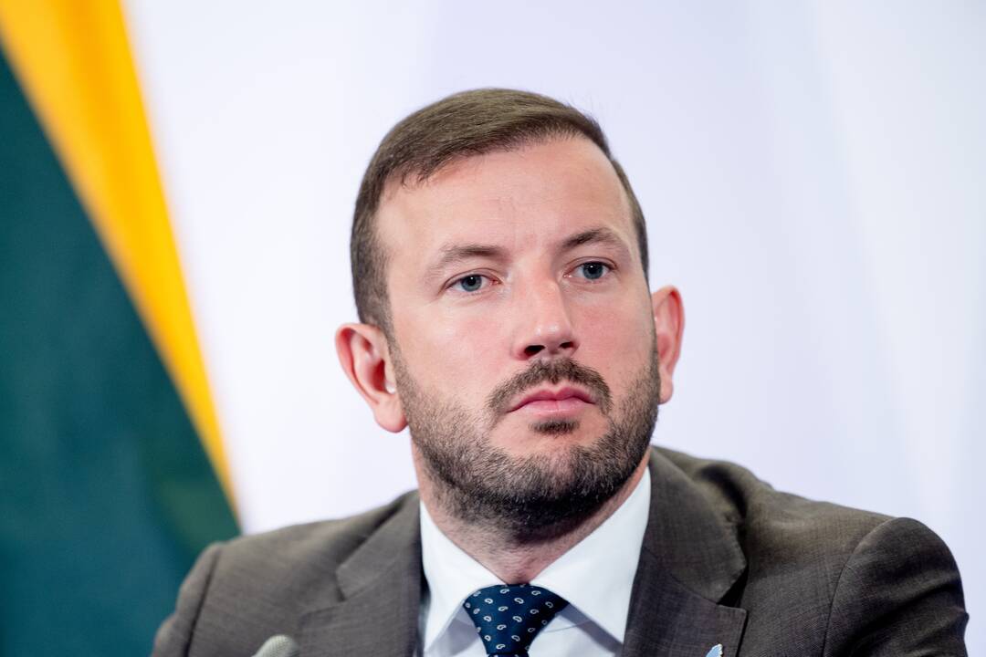 S. Skvernelis ir V. Sinkevičius po EP rinkimų