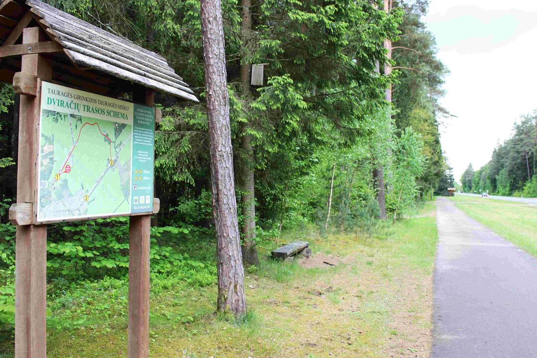Erdvu: Lakštingalų slėnis, 2,9 ha plotą užimanti stovyklavietė ant Akmenos upės kranto, – puiki vieta poilsiui.