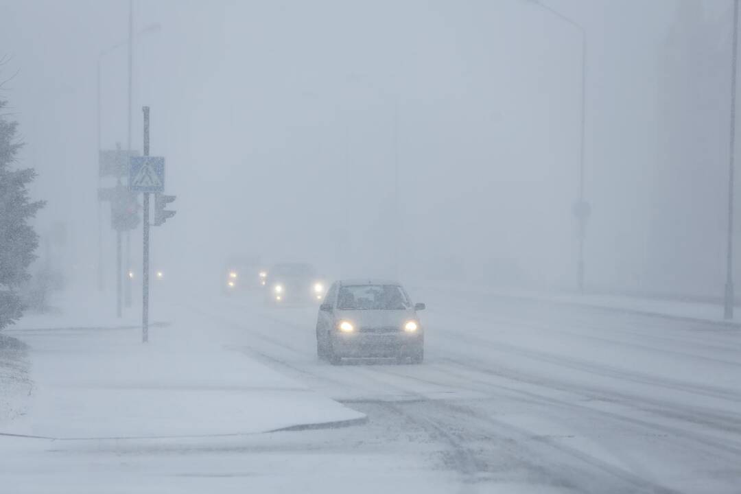 Lietuvoje naktį prognozuojama pūga, ugniagesiai įspėja pasirūpinti savo saugumu
