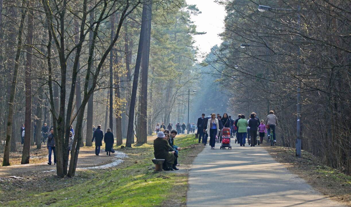 Skulptūrų parke – Vynerio arbatėlė su pavasariškais žaidimais 