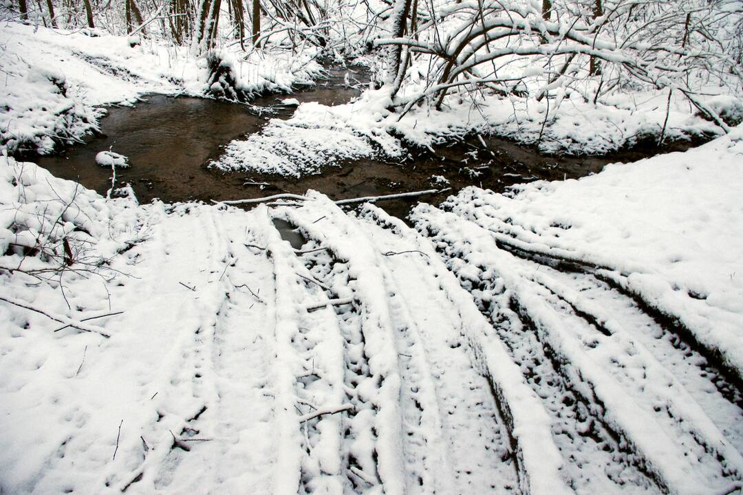 Visureigių nuniokotas Koplyčiankos upelis