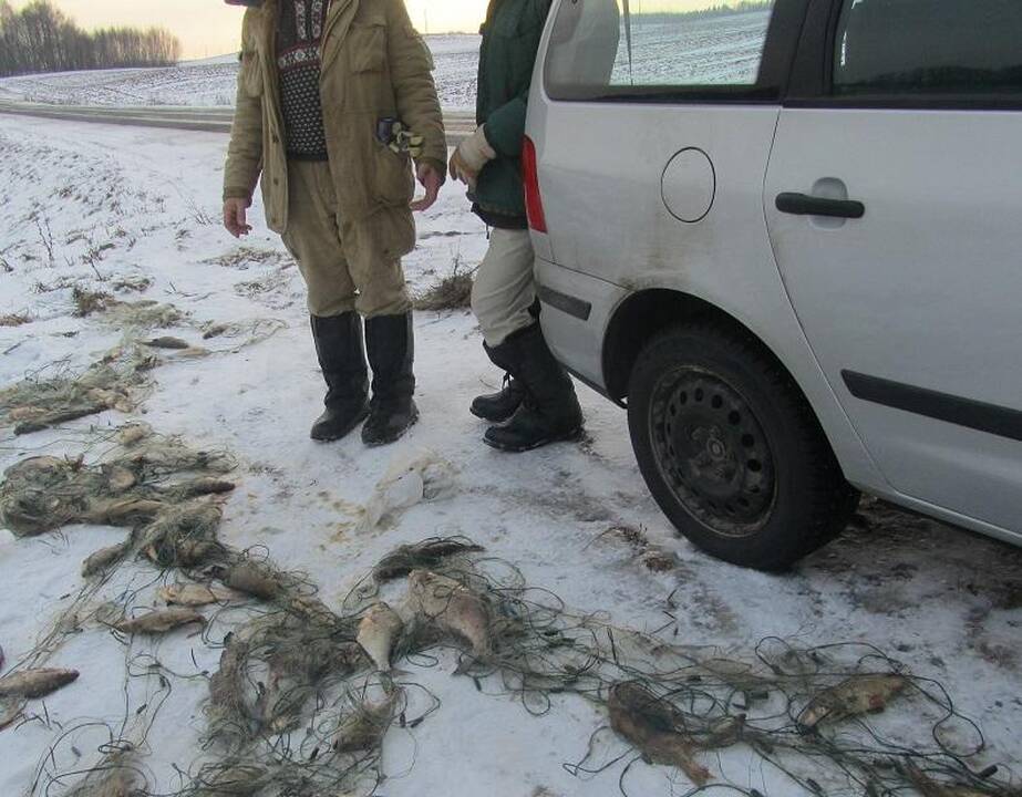 Brakonieriai poledinei žūklei naudojo vėliavos kotą