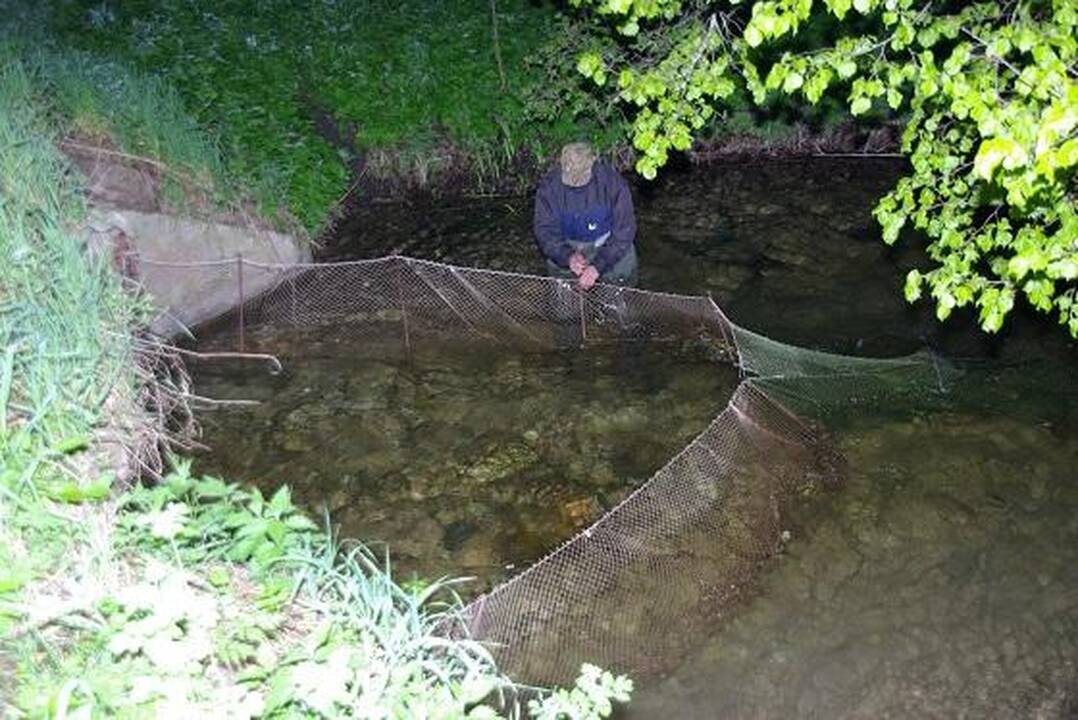 Gamtos sergėtojams savaitgalis buvo darbingas