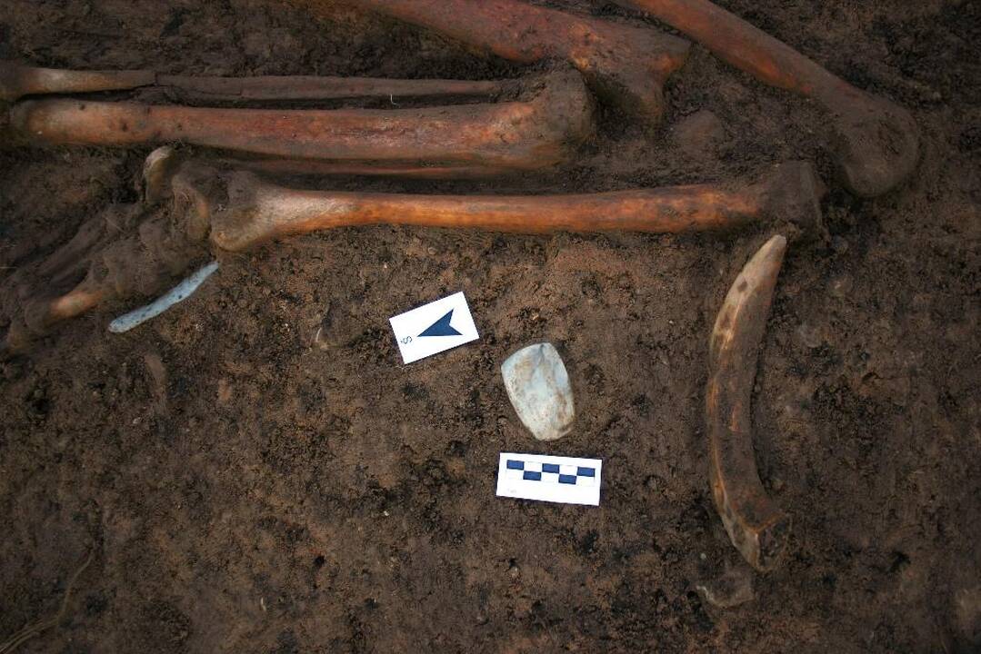 Archeologai atidengia neolito laikų kapą.