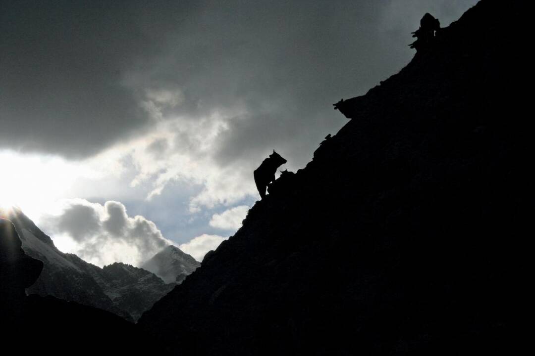 Iš fotografijų serijos "Aukštumos. Žemumos"