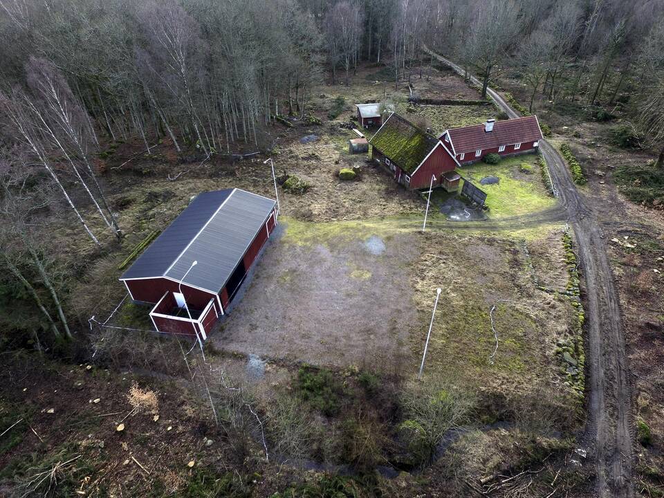 Švedijoje nuteistas moterį bunkeryje kalinęs gydytojas