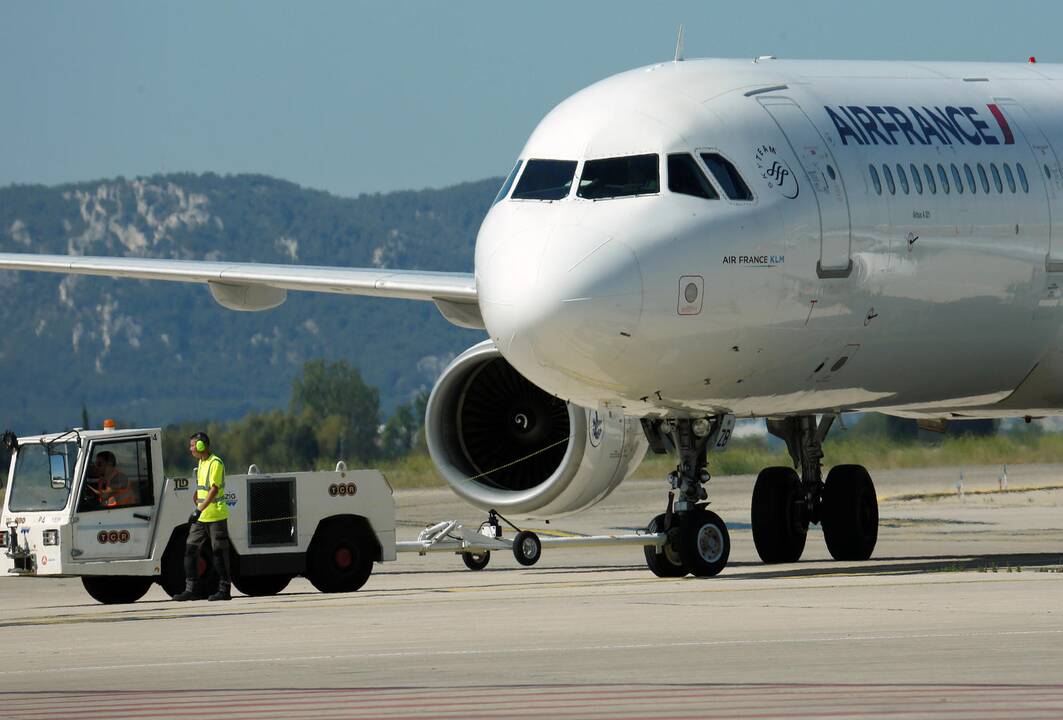 „Air France“ laineris nutupdytas dėl pelės