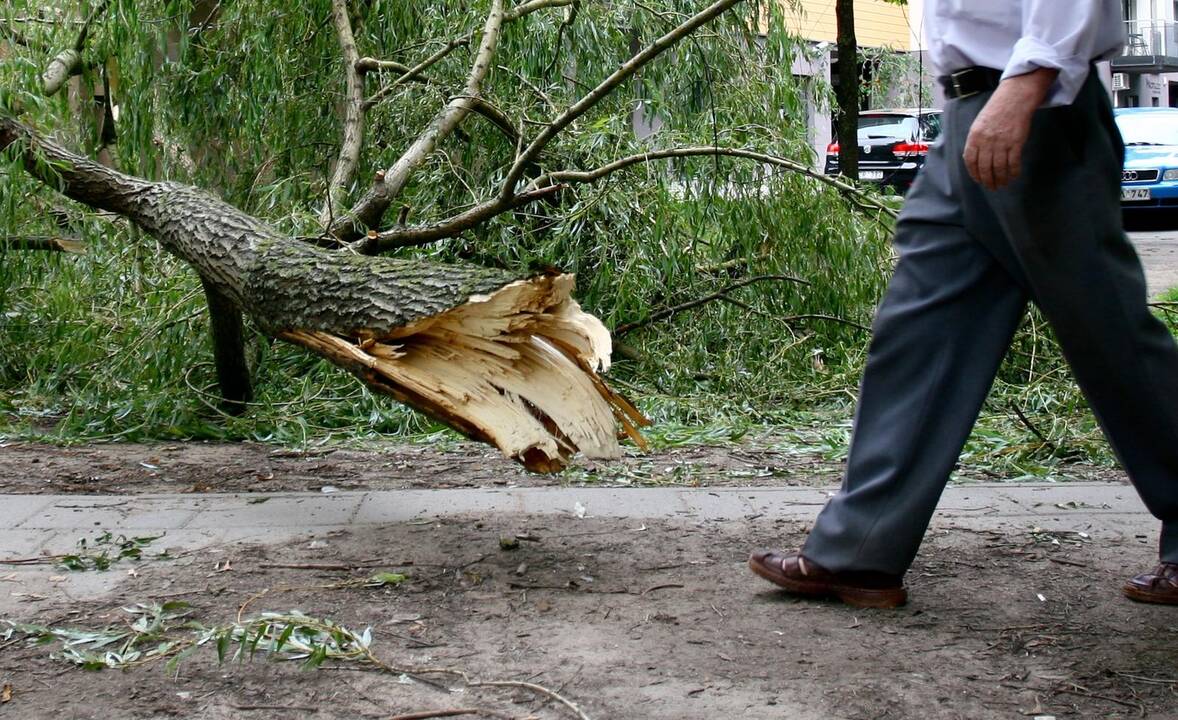 Kaune vėjas laužė medžius, išvertė tvorą ir apgadino stogą