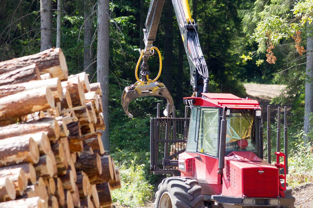 Miškų ūkiui pernai atriekta 14 mln. eurų