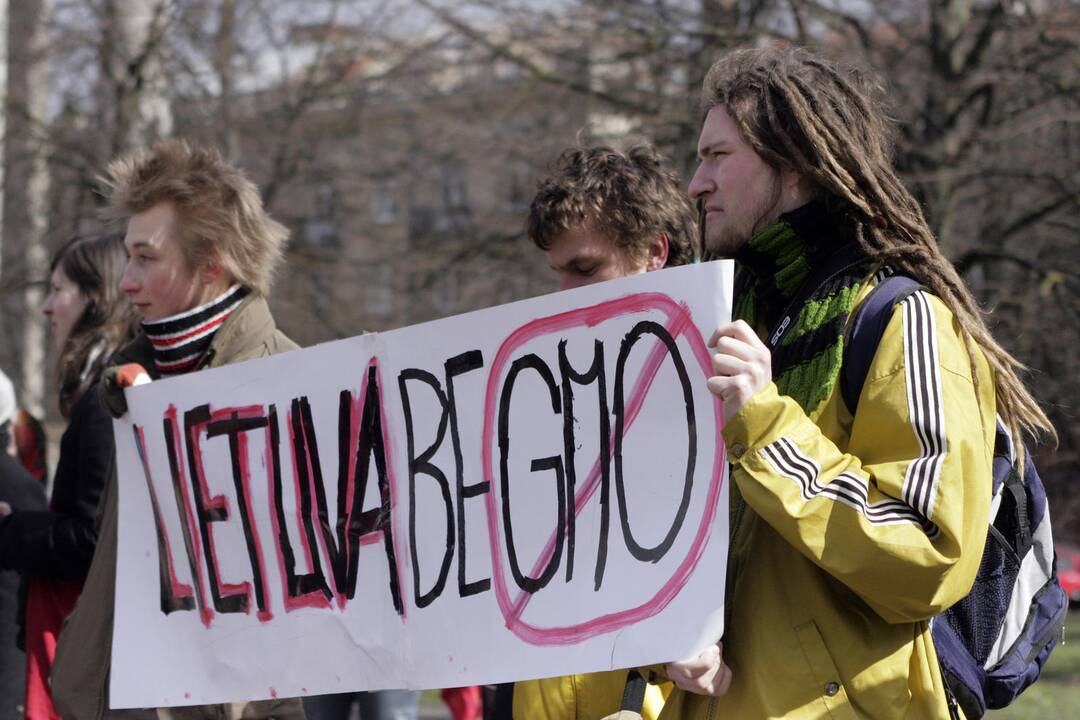 Lietuva – tarp penkiolikos ES šalių, uždraudusių GMO