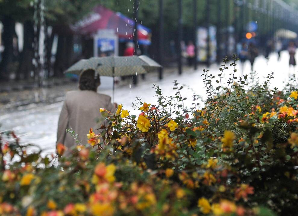 Orai: sulaukėme gaivios, bet vėjuotos ir lietingos savaitės