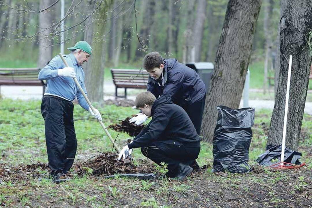 Provincijoje verslo iniciatyvos itin laukiamos