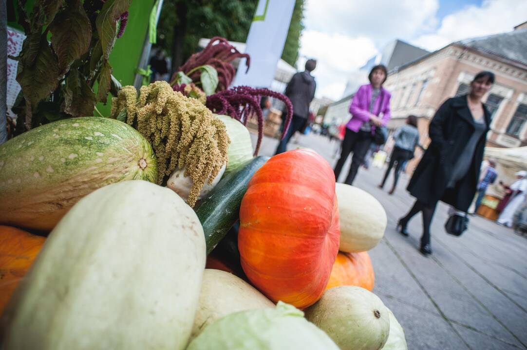 Permainos Kaune: mažiau mugių, daugiau kokybės ir skaidrumo