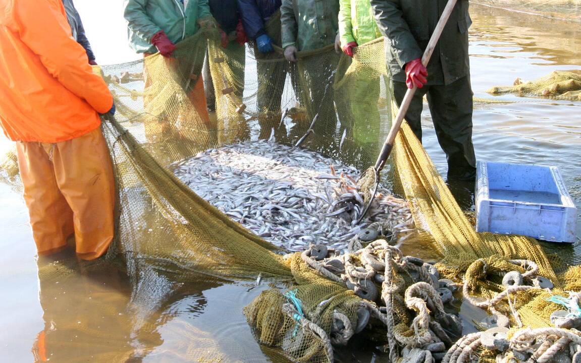 Komisija pasiūlė 2016 m. žvejybos Baltijos jūroje galimybes