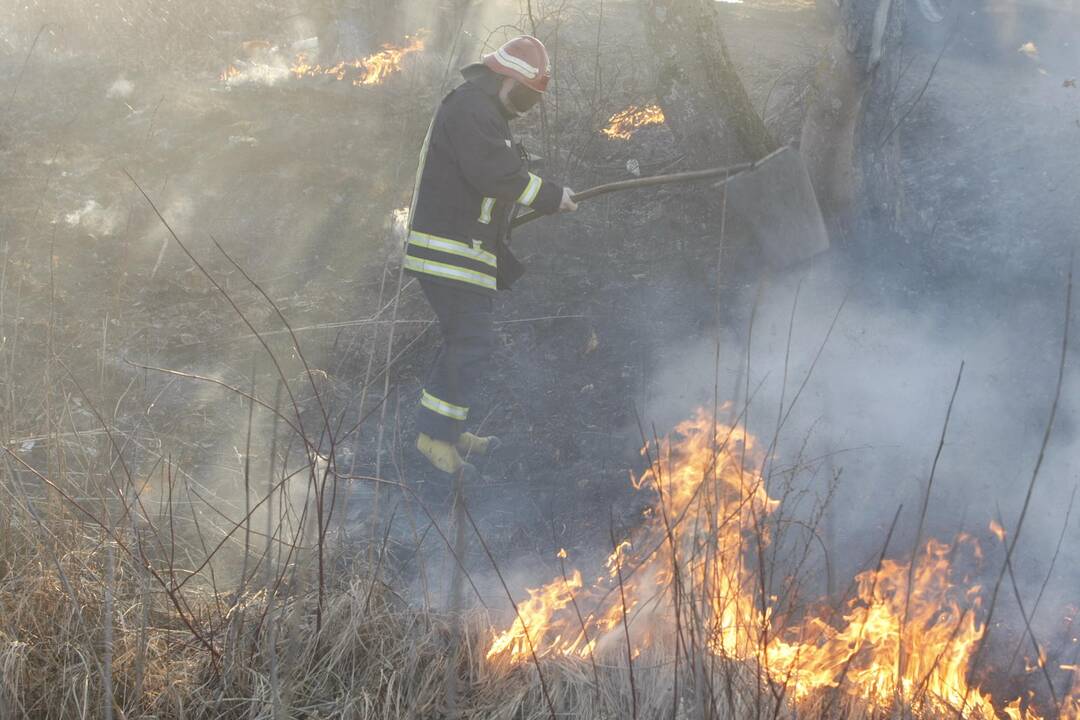 Per dvi dienas – 350 pranešimų apie degančią žolę