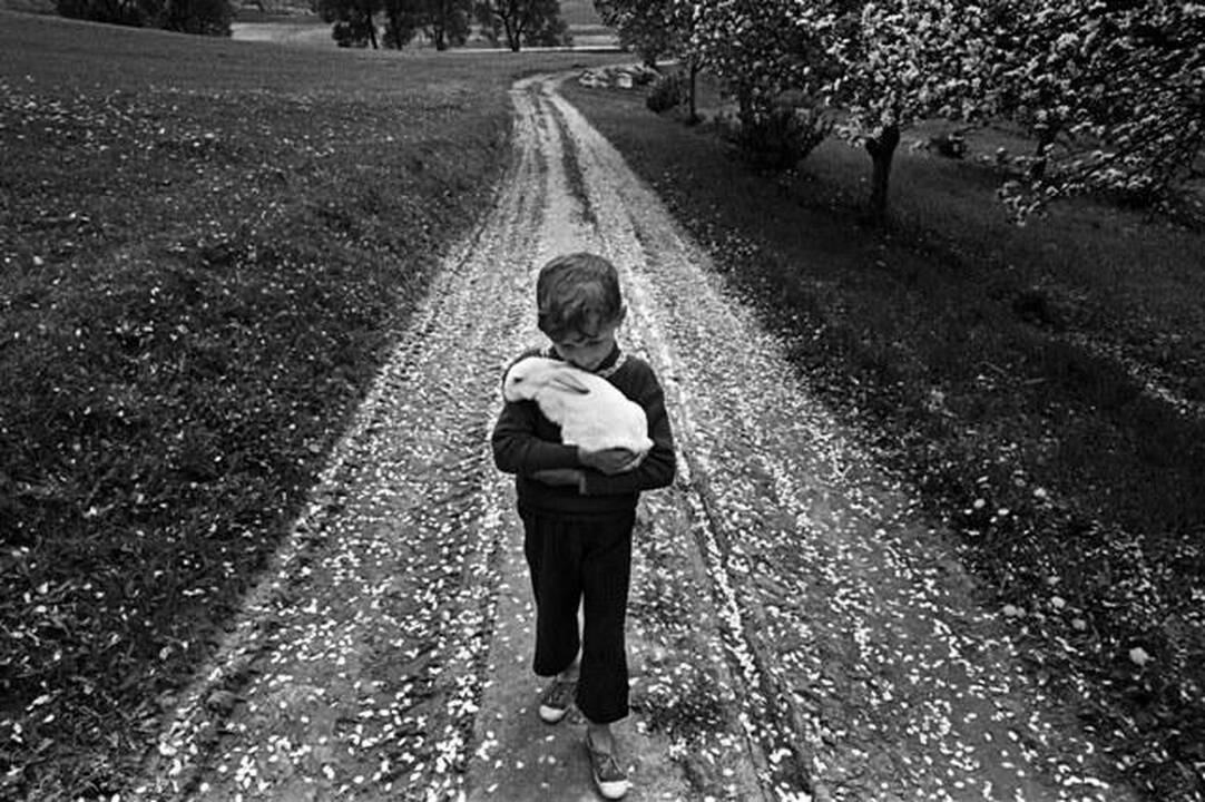 1941 m. gimė fotomenininkas Romualdas Rakauskas.