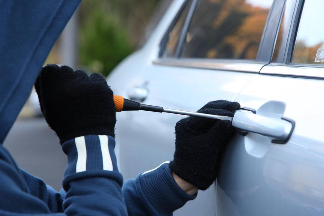 Statistika: vagis domina „Volkswagen“