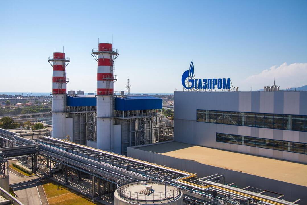 Politikai negali pasidalyti pergalės laurų dėl „Gazprom“
