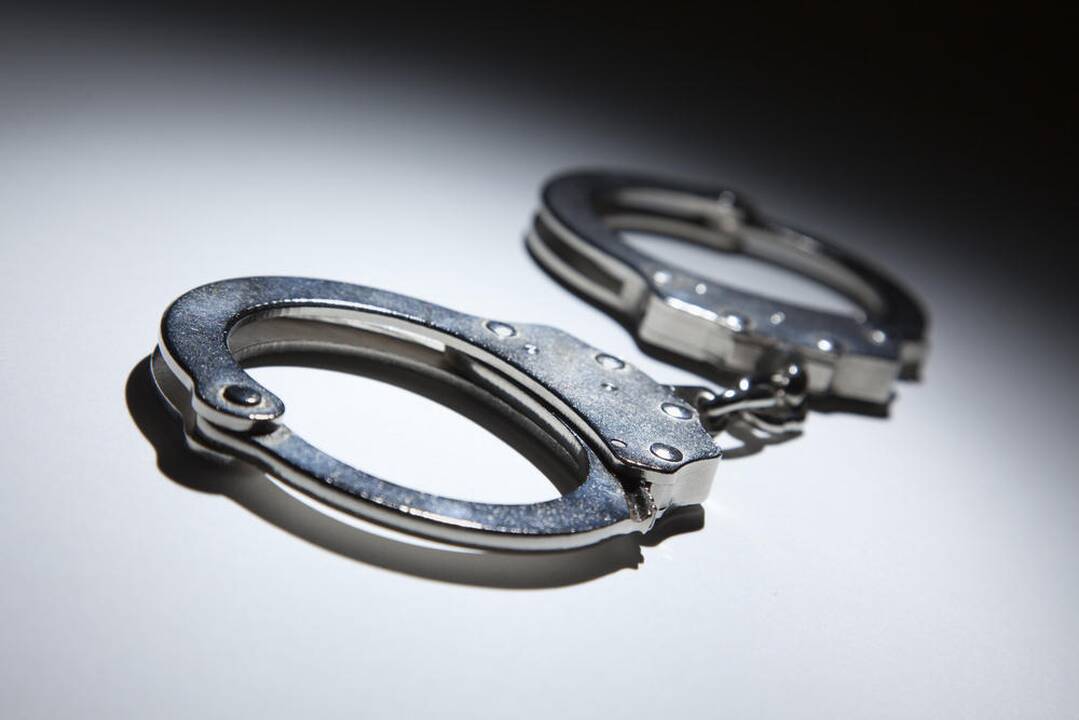 Vilniaus policija sulaikė devynis plėšimais įtariamus asmenis