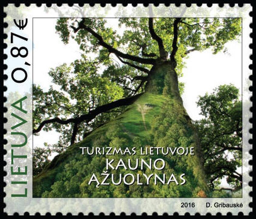 Ąžuolynas