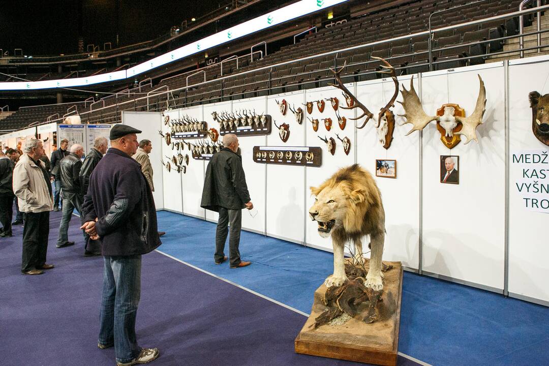 Hunting Horn Show 2015