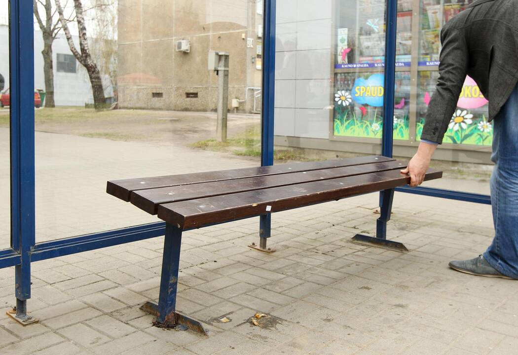 Suolelis stotelėje