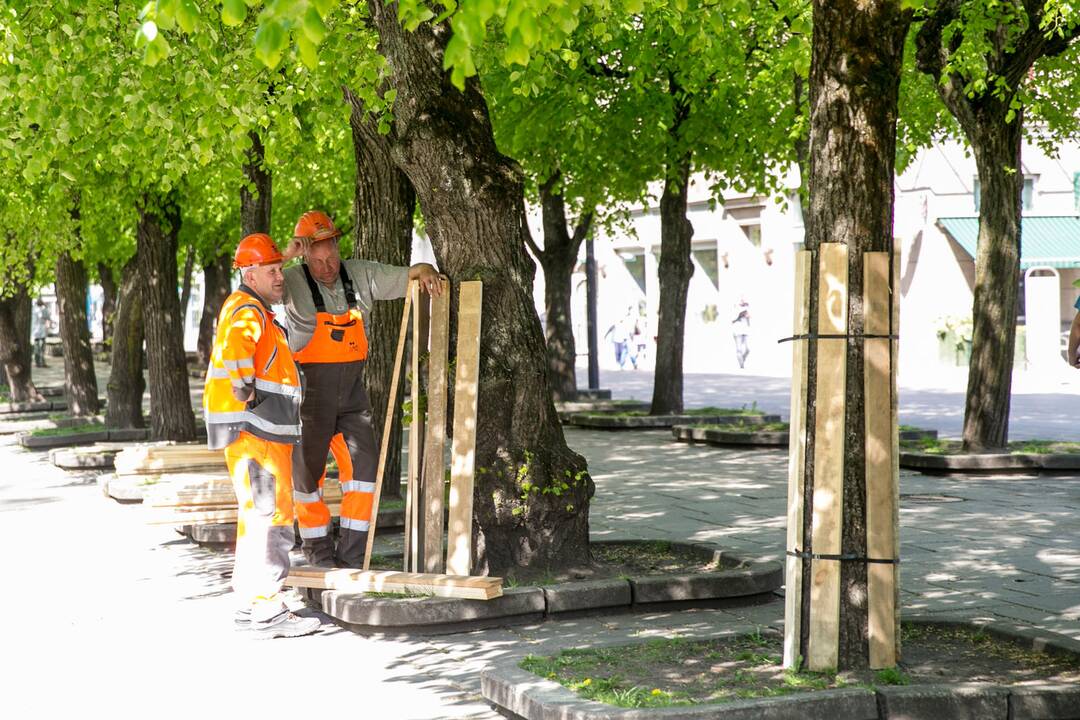 Rekonstrukcijai užtverta Laisvės alėja