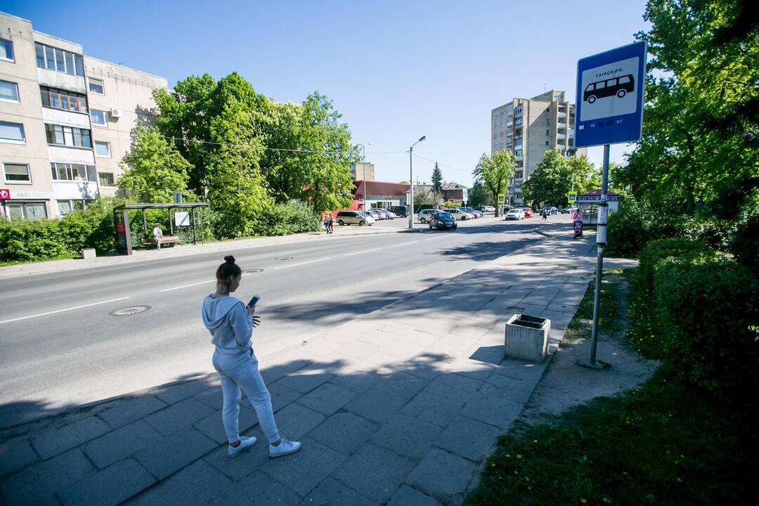 Dingo Taikos stotelės stoginė?