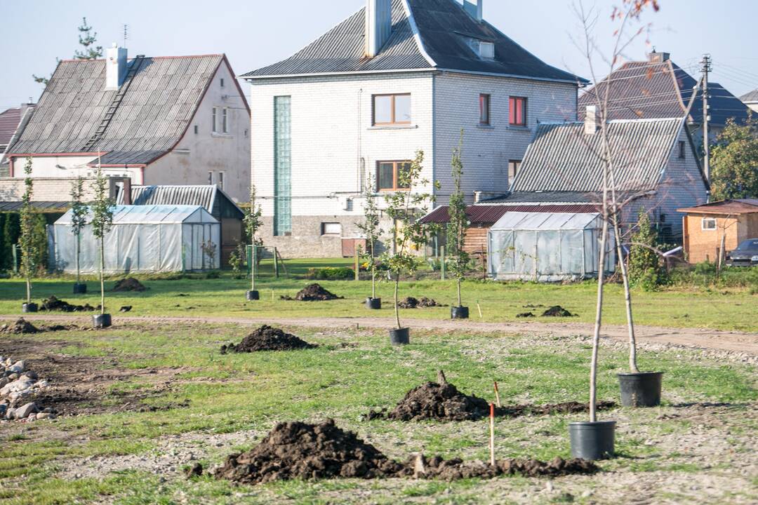 Šventė Garliavos Šimtmečio parke